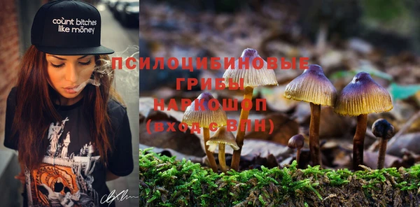 кокаин колумбия Заводоуковск