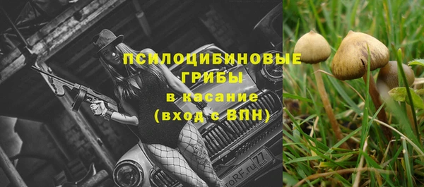 MDMA Заволжск