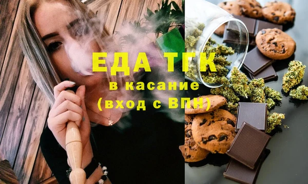 мдпв Ельня