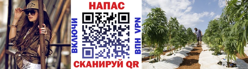 Купить закладки  Грязи  Бошки марихуана Ganja 
